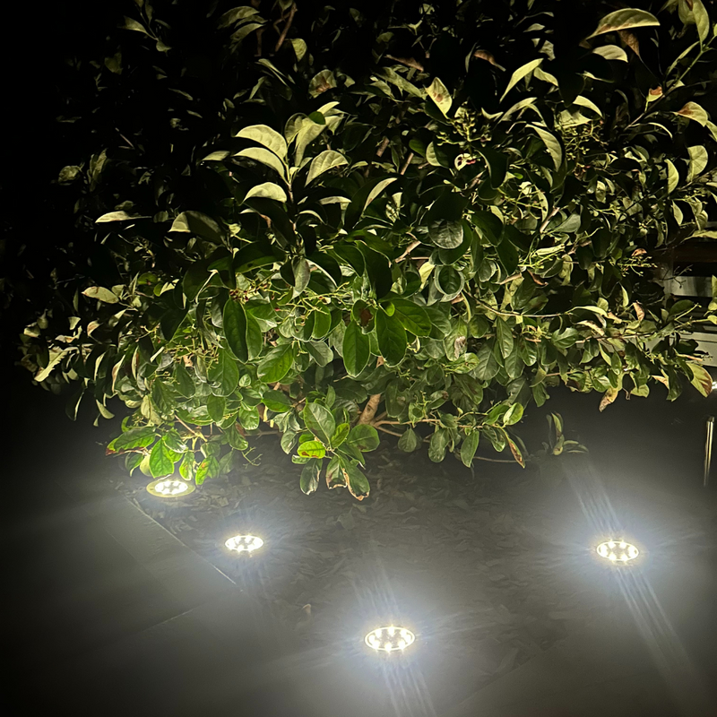 In-Ground Solar Lights (8pcs)