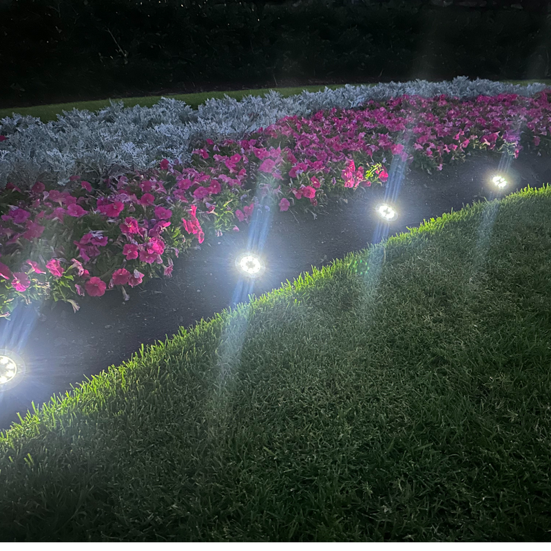 In-Ground Solar Lights (8pcs)